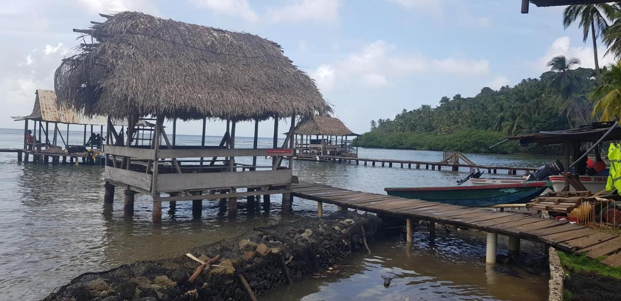 Rainforest Lodge Del Rio Portobelo Exteriér fotografie