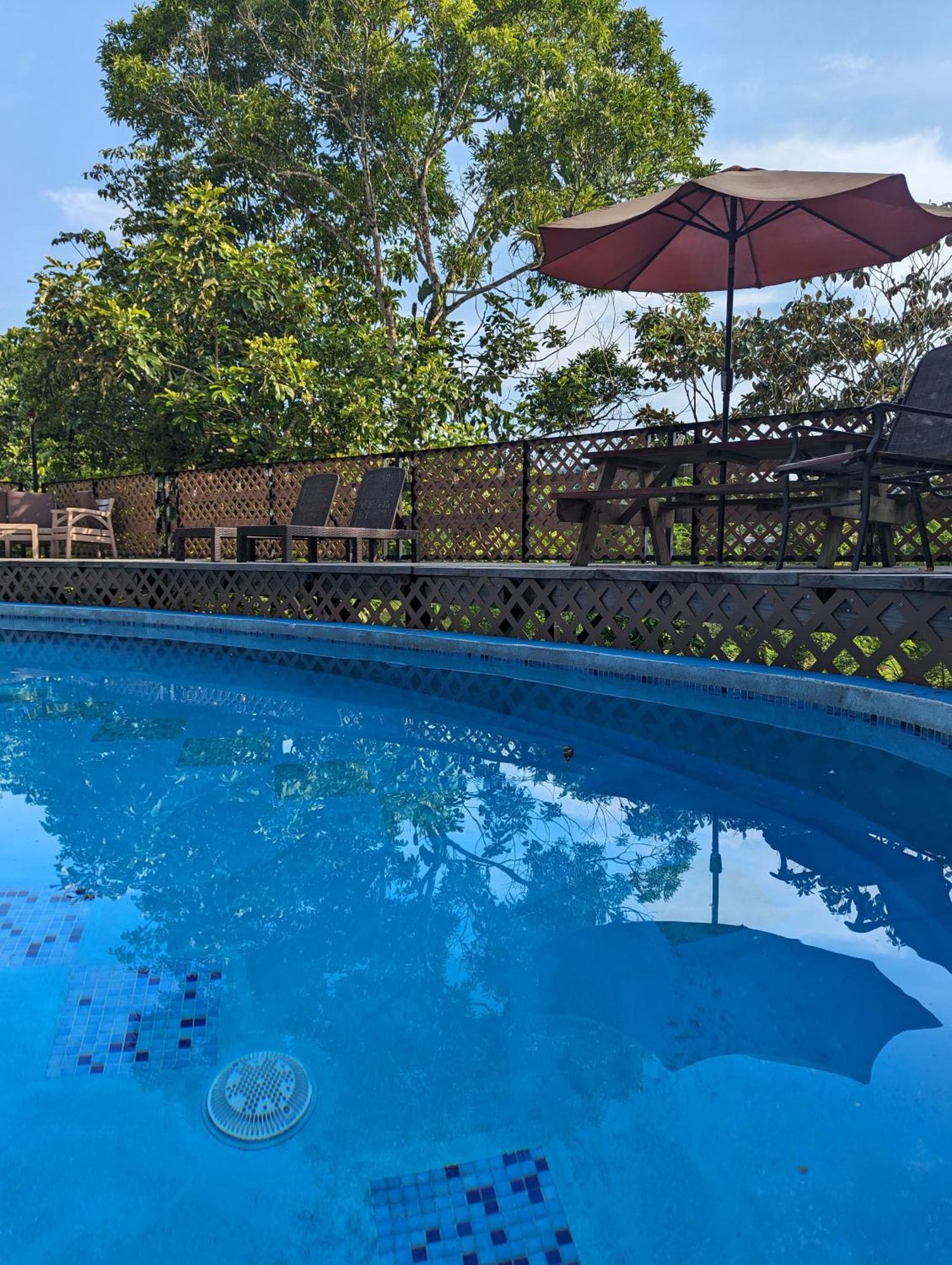Rainforest Lodge Del Rio Portobelo Exteriér fotografie