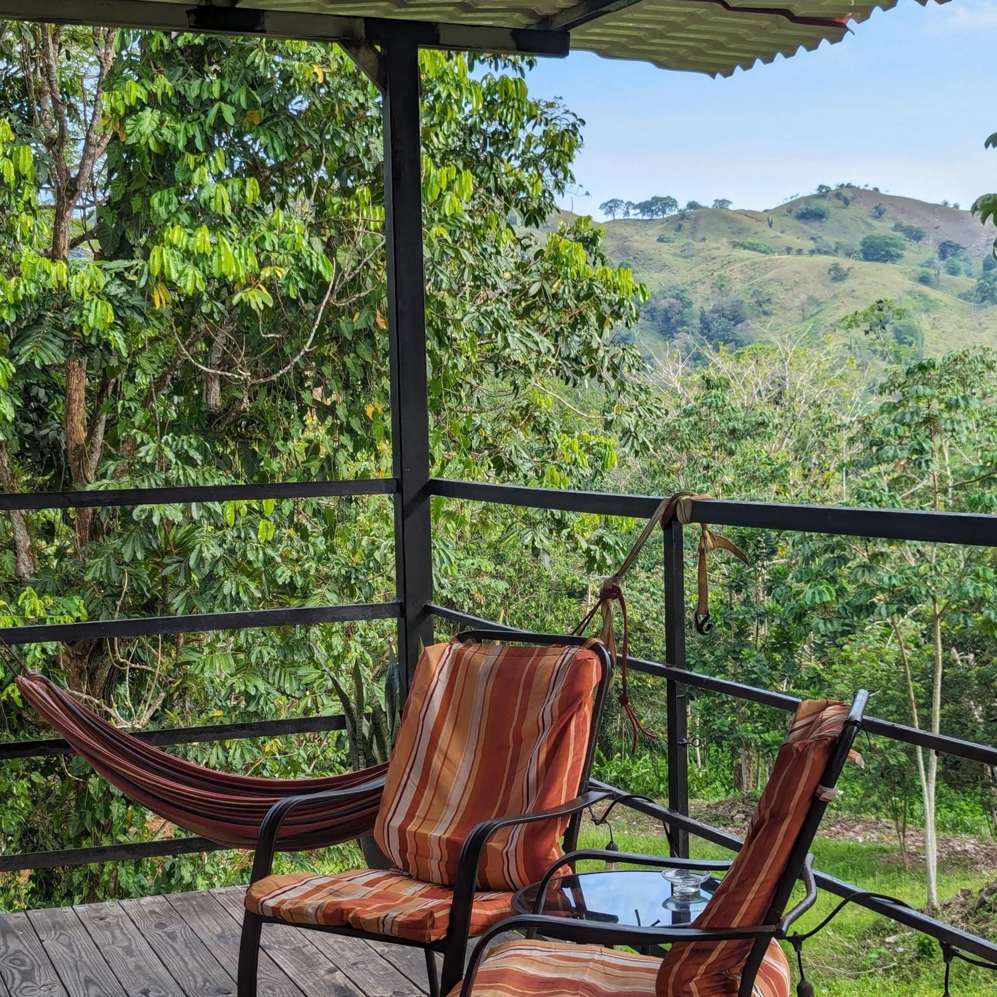 Rainforest Lodge Del Rio Portobelo Exteriér fotografie